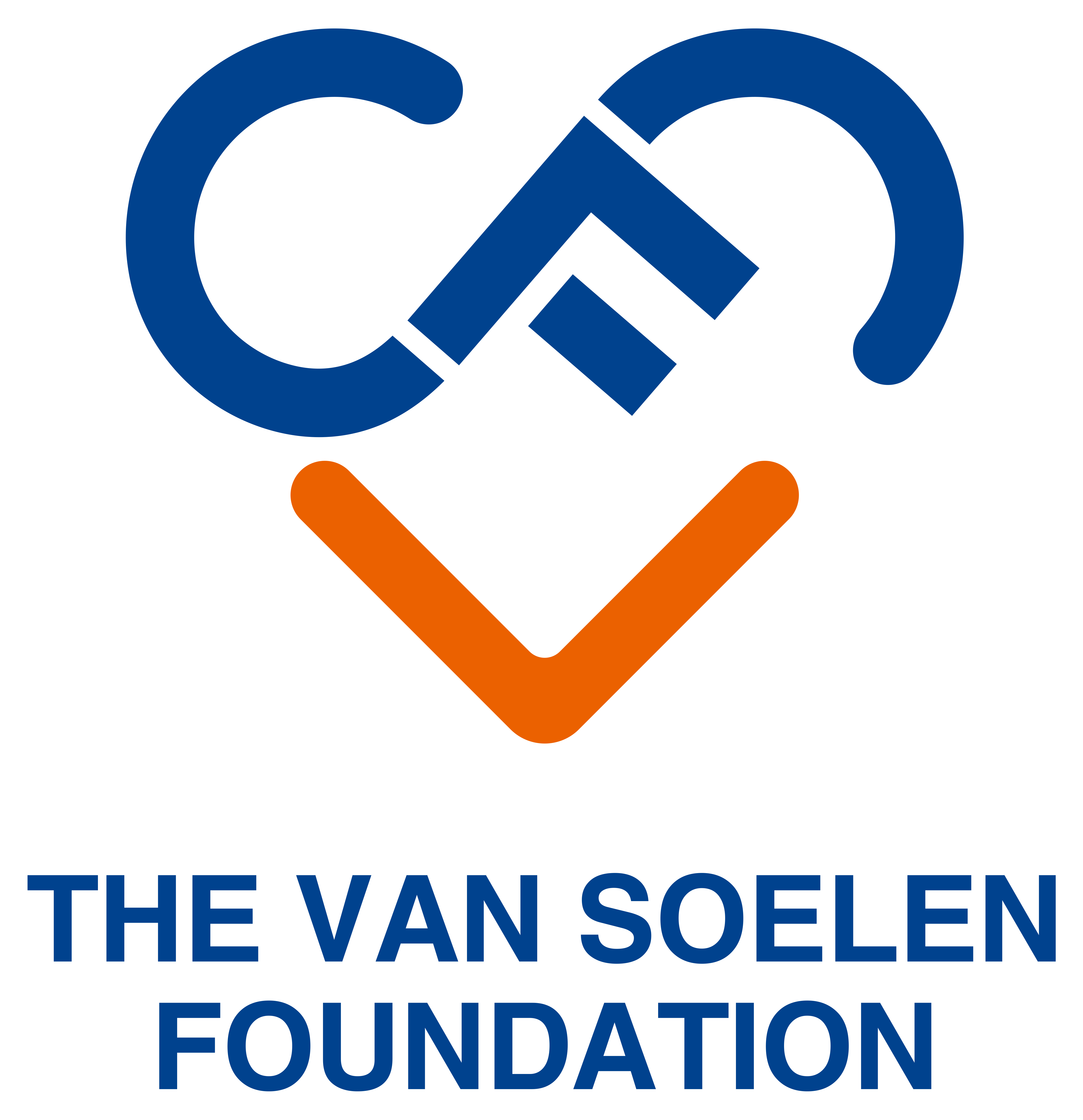 the van Soelen Foundation LOGO.png